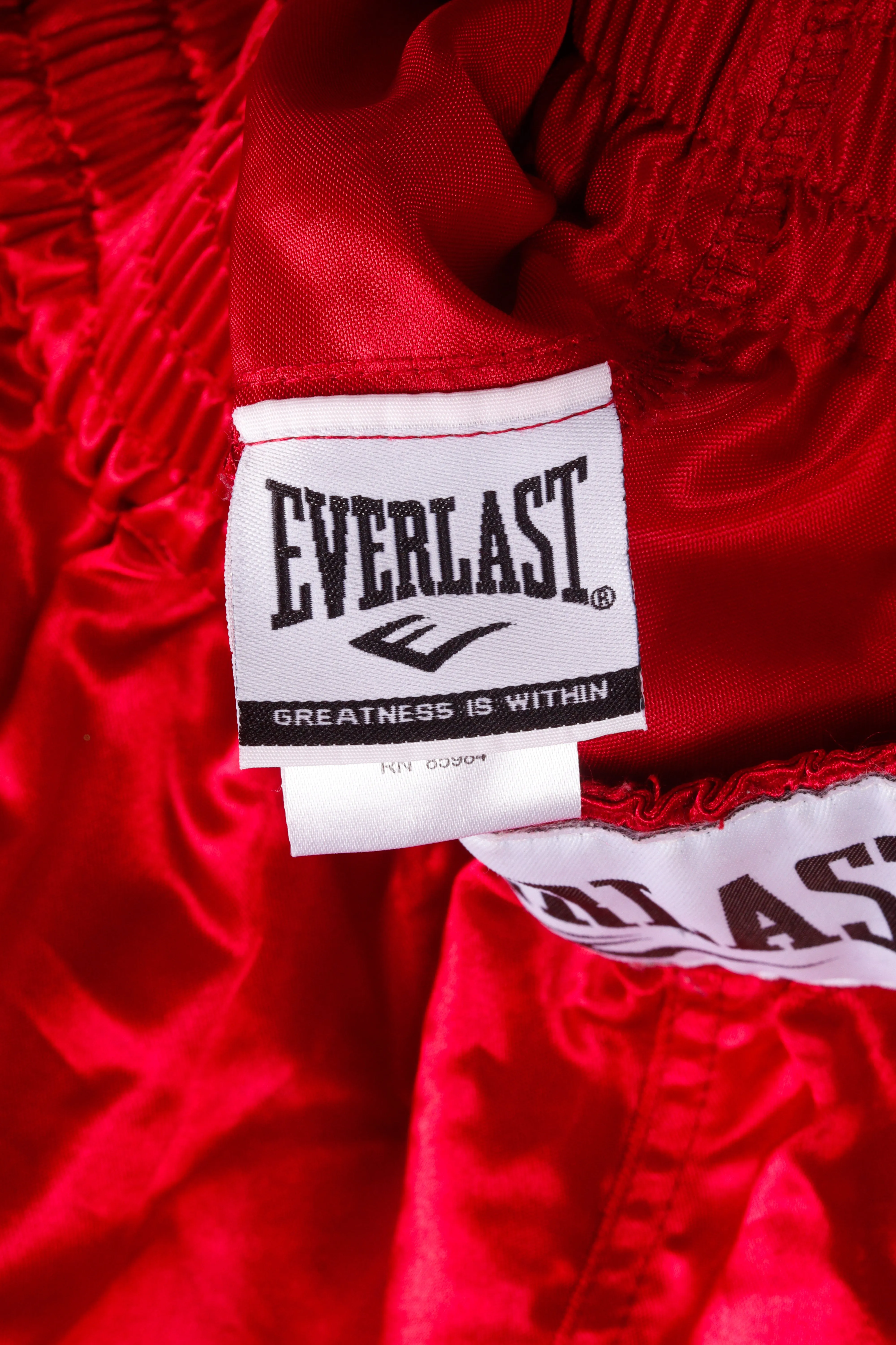 Everlast 'Satin 21 Inch Boxing' Shorts Red