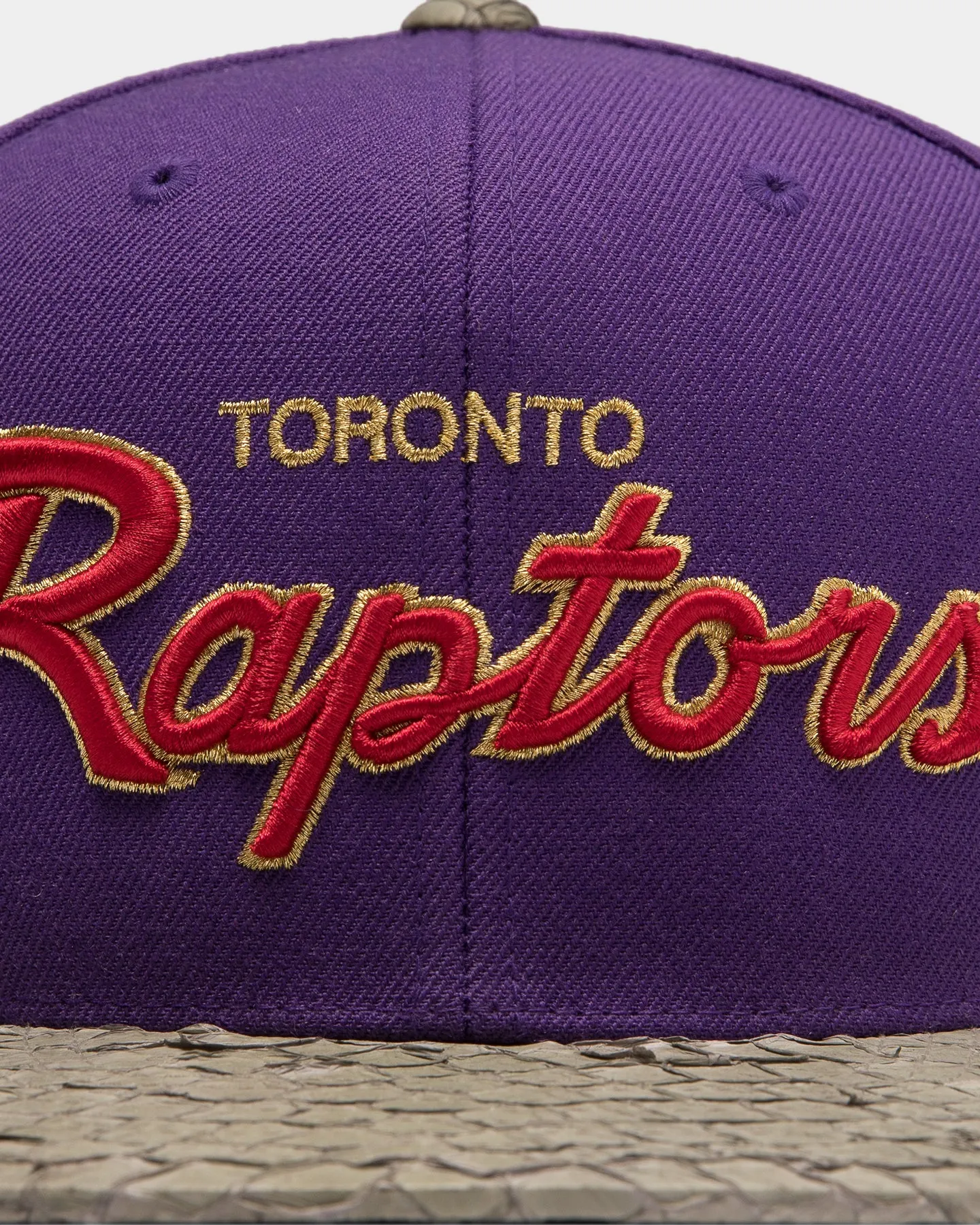 Mitchell & Ness Toronto Raptors Lux Carp Script HWC Snapback Purple/Grey