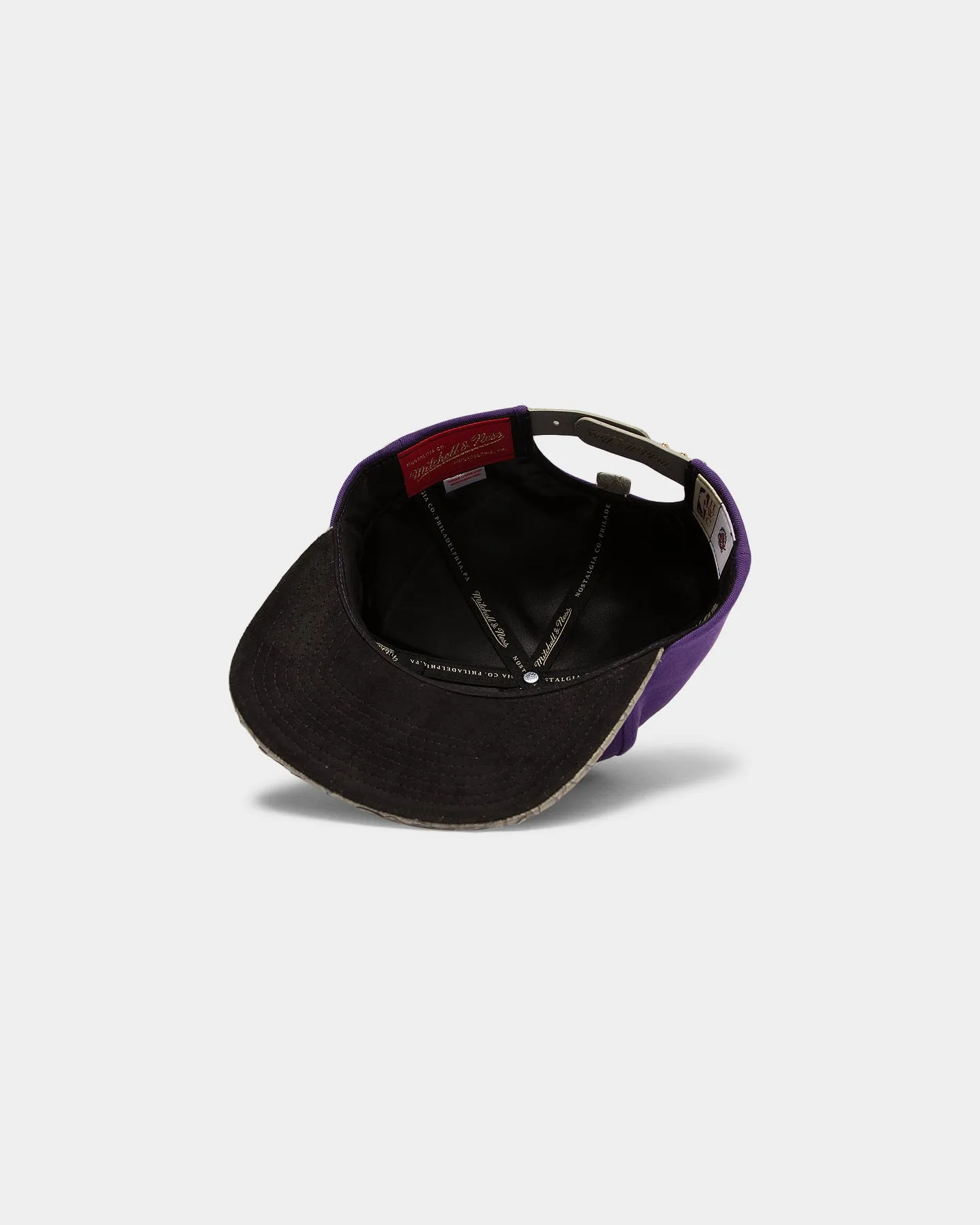 Mitchell & Ness Toronto Raptors Lux Carp Script HWC Snapback Purple/Grey