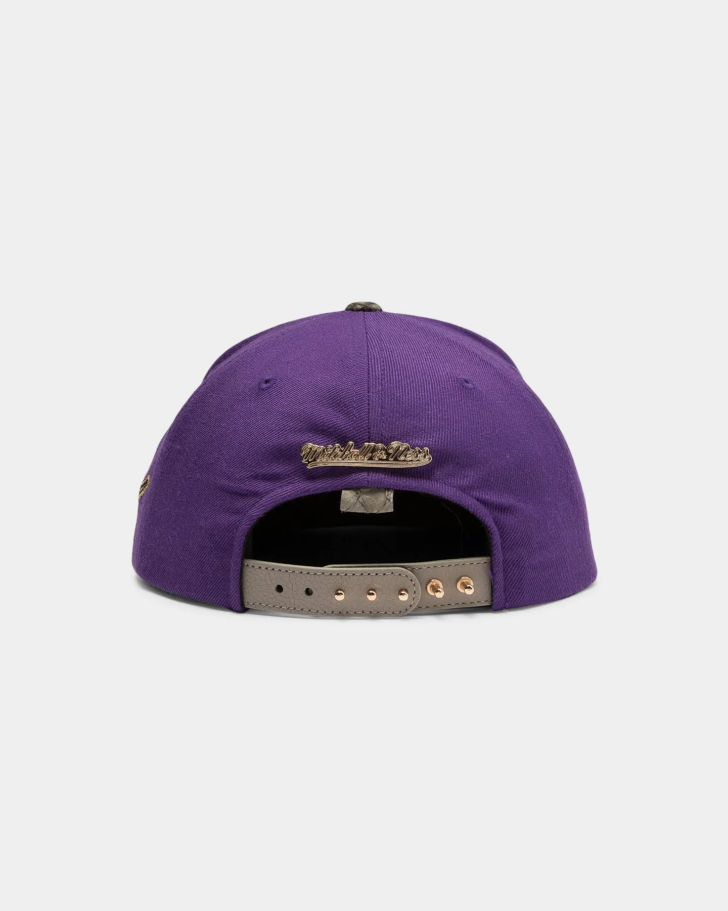 Mitchell & Ness Toronto Raptors Lux Carp Script HWC Snapback Purple/Grey