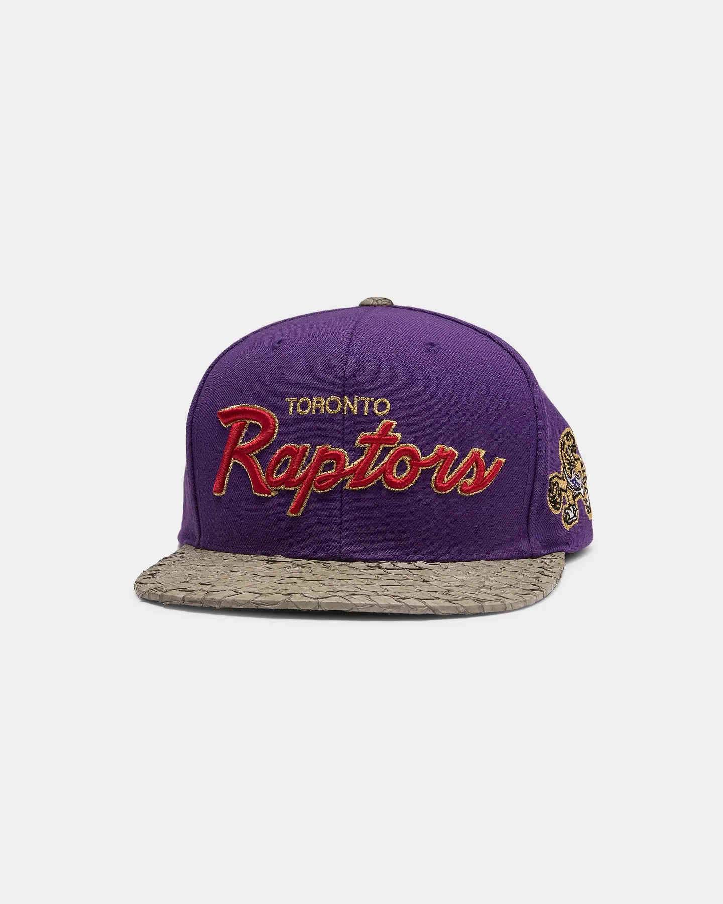 Mitchell & Ness Toronto Raptors Lux Carp Script HWC Snapback Purple/Grey